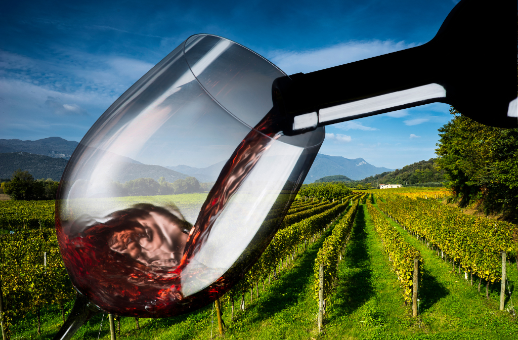 Moments Uncorked